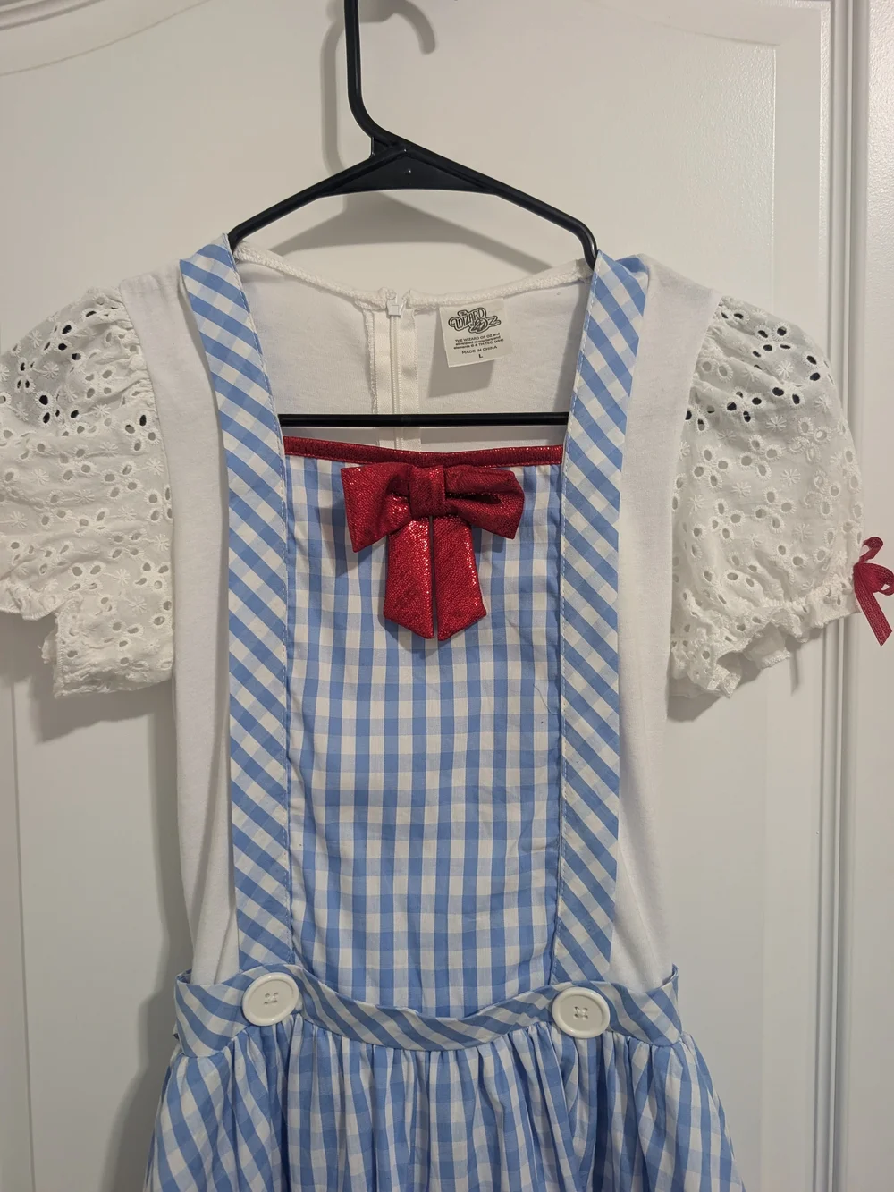 Blue Gingham Dorothy Kids Halloween Costume with Red Accents